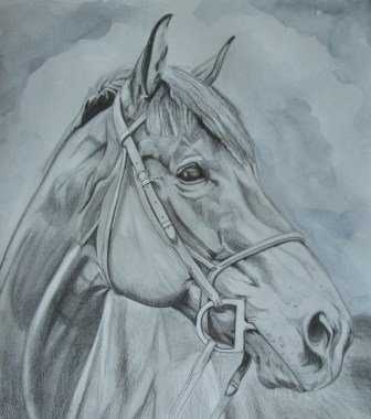 Horse drawing